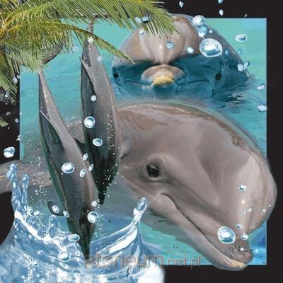 Worth Keeping  3D-Delphin-Postkarte 5710431000177