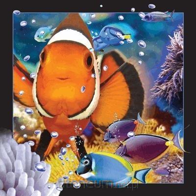 Worth Keeping  3D-Postkarte - Clownfisch 5710431000016