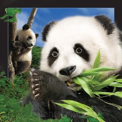 Worth Keeping  3D-Panda-Postkarte 5710431000238