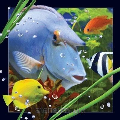 Worth Keeping 3D-Postkarte Blauer Fisch 5710431000191