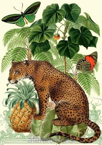 Madame Treacle  B6-Karte mit Leoparden- und Ananasumschlag 5060391047959
