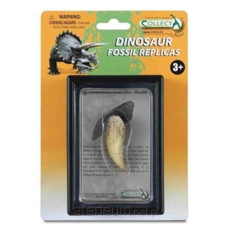 Dante  Tyrannosaurus-Zahn in Verpackung 4892900892818