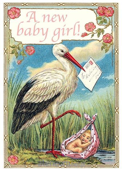 Madame Treacle  B6-Karte mit Umschlag Geburt eines Storchenmädchens 5060391046716