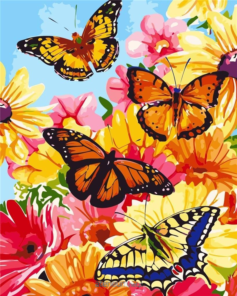 Hobby-maniak.pl  Malen nach Zahlen - Schmetterlinge 30x40cm 6095429890893