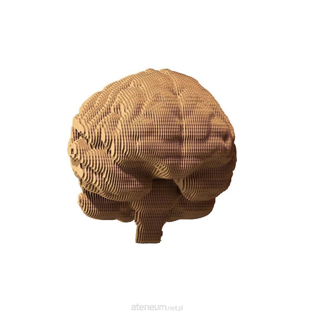 Cartonic  3D-Puzzle aus Pappe - Gehirn 4820191133150