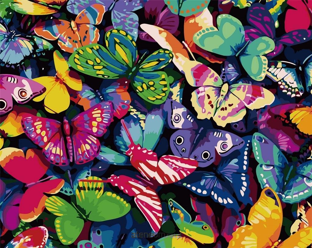ArtiFly  Malen nach Zahlen - Schmetterlinge 40x50cm 5904326906341