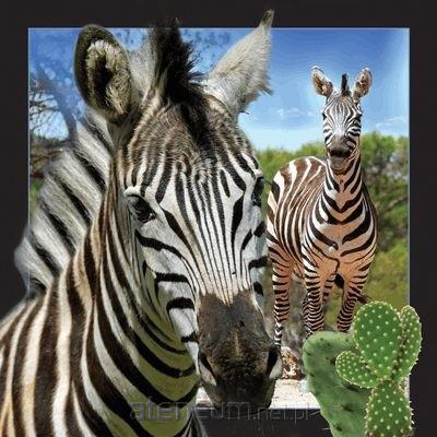 Worth Keeping  3D-Postkarte - Zebra 5710431000047