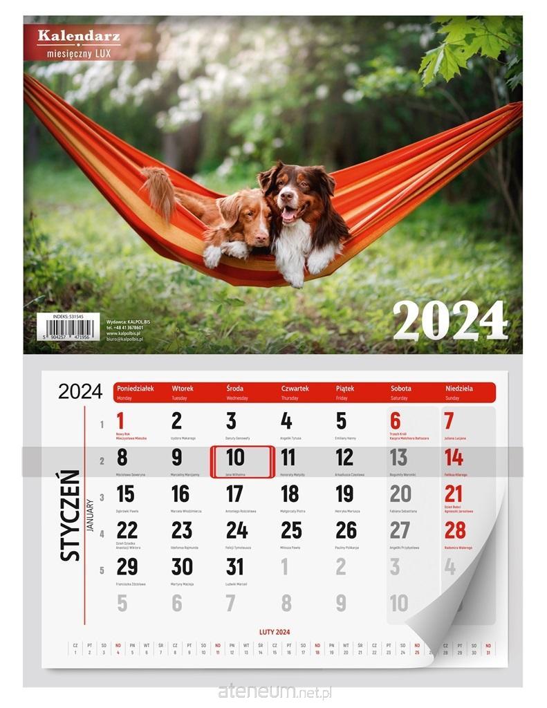 Kalpol  Monatlicher Wandkalender 2024 LUX MIX 5904257471956