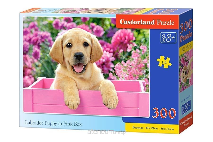 Castorland Labrador Puppy in Pink Box Puzzele 300 T   B-030071