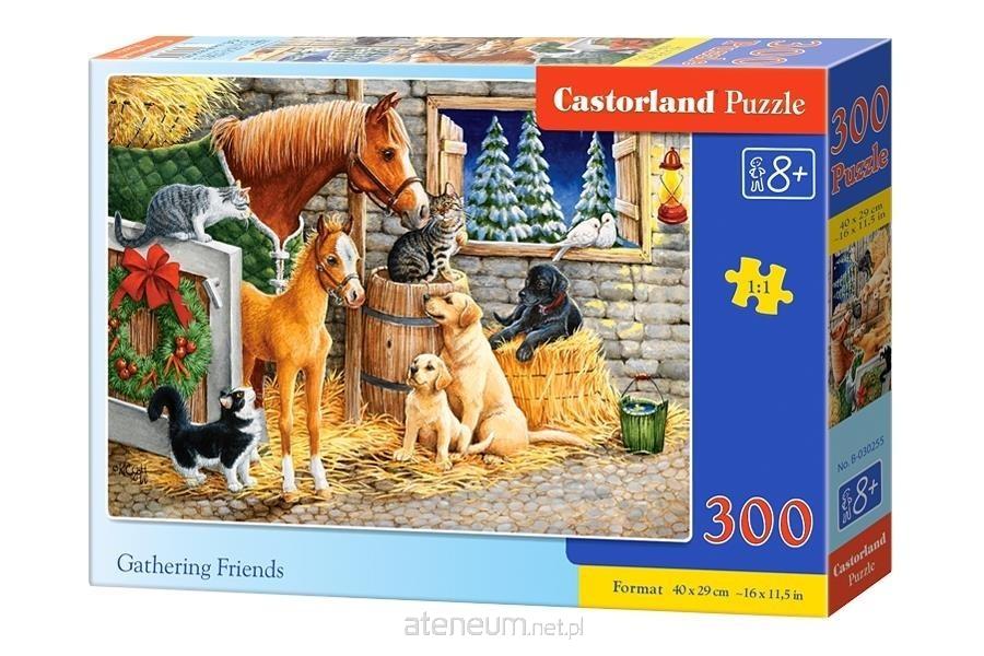 CASTORLAND Puzzle Setk?n? p??tel ve st?ji 300 d?lk?