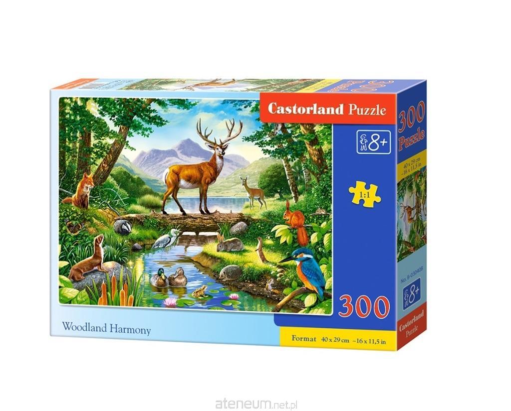 CASTORLAND Puzzle Harmonie lesa 300 d?lk?