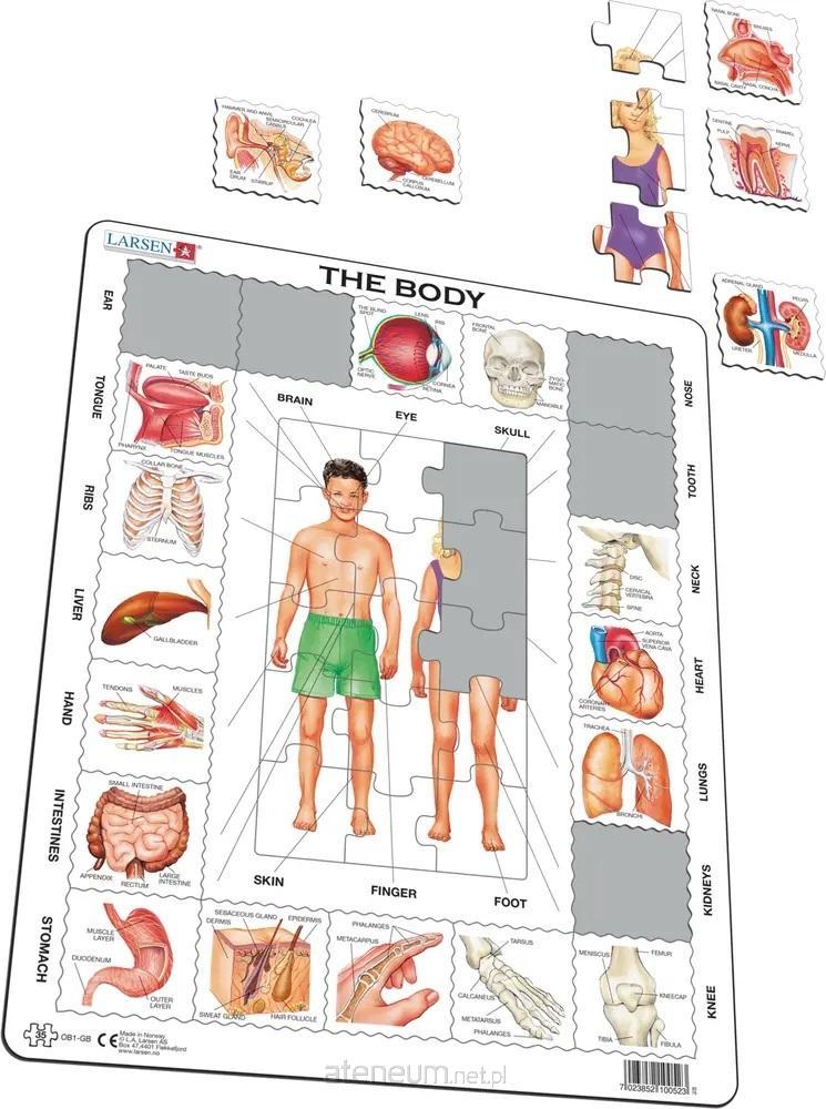 Unser Body Maxi-Puzzle