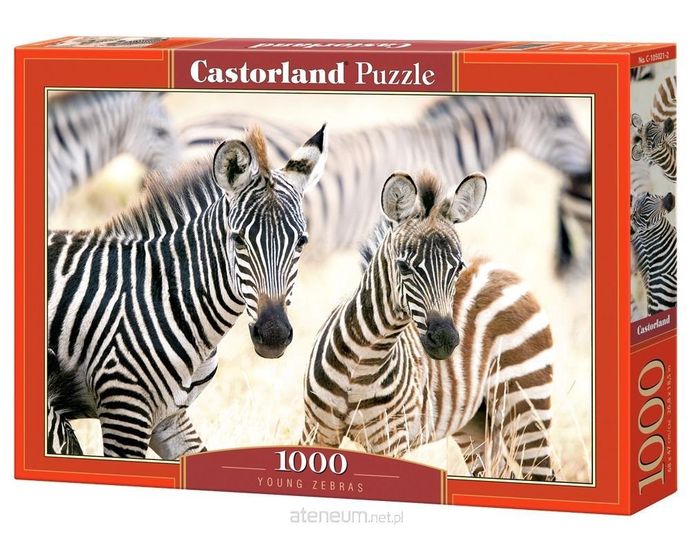 castorland-puzzle-1000-junge-zebras-castor-5904438105021