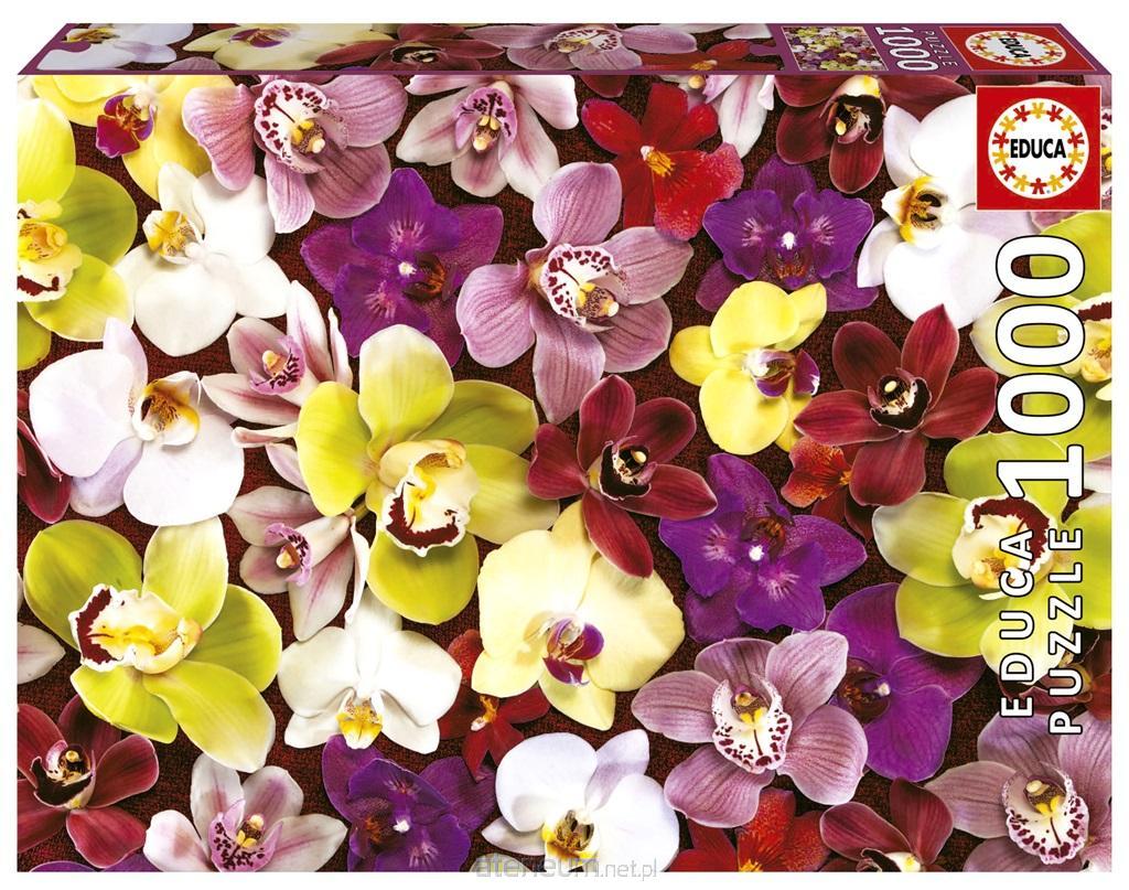 EDUCA Puzzle Orchidee Collage 1000 Teile