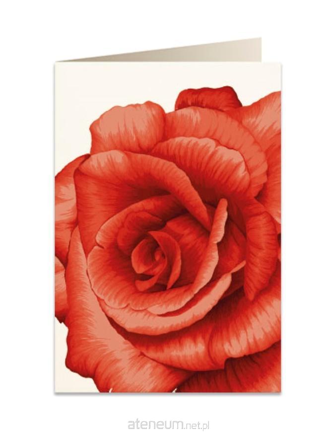 Tassotti  B6-Karte + Umschlag 5676 Rote Rose 8023843056760