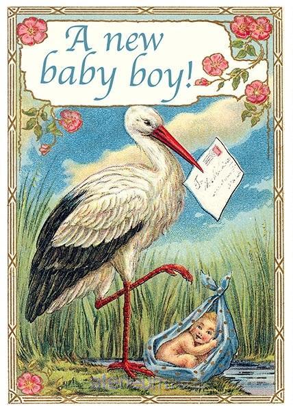 Madame Treacle  B6-Karte mit Umschlag Geburt eines Storchenjungen 5060391046709
